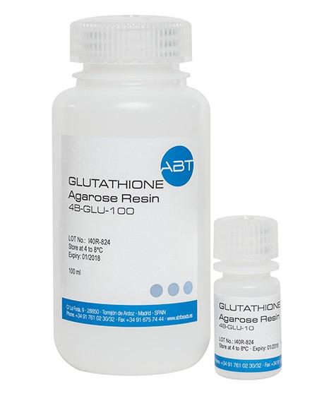 GLUTATHIONE Agarose Resin