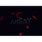 AF0354 staining A-431 cells by IF/ICC. The sample were fixed with PFA and permeabilized in 0.1% Triton X-100,then blocked in 10% serum for 45 minutes at 25¡ãC. The primary antibody was diluted at 1/200 and incubated with the sample for 1 hour at 37¡ãC. An  Alexa Fluor 594 conjugated goat anti-rabbit IgG (H+L) antibody(Cat.
