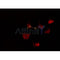 Western blot analysis of extracts from 293, using EID1 Antibody. Lane 1 was treated with the antigen-specific peptide.