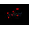 AF0359 staining Hela by IF/ICC. The sample were fixed with PFA and permeabilized in 0.1% Triton X-100,then blocked in 10% serum for 45 minutes at 25¡ãC. The primary antibody was diluted at 1/200 and incubated with the sample for 1 hour at 37¡ãC. An  Alexa Fluor 594 conjugated goat anti-rabbit IgG (H+L) Ab, diluted at 1/600, was used as the secondary antibod