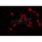 AF0360 staining HepG2 by IF/ICC. The sample were fixed with PFA and permeabilized in 0.1% Triton X-100,then blocked in 10% serum for 45 minutes at 25¡ãC. The primary antibody was diluted at 1/200 and incubated with the sample for 1 hour at 37¡ãC. An  Alexa Fluor 594 conjugated goat anti-rabbit IgG (H+L) Ab, diluted at 1/600, was used as the secondary antibod