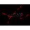 Western blot analysis of extracts from various samples, using BNIP2 Antibody.
 Lane 1: mouse brain treated with blocking peptide.
 Lane 2: mouse brain;
 Lane 3: rat barin;
 