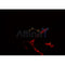 Western blot analysis of extracts from 293, using CA13 Antibody. Lane 1 was treated with the blocking peptide.
