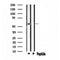 DF4621 staining HepG2 by IF/ICC. The sample were fixed with PFA and permeabilized in 0.1% Triton X-100,then blocked in 10% serum for 45 minutes at 25¡ãC. The primary antibody was diluted at 1/200 and incubated with the sample for 1 hour at 37¡ãC. An  Alexa Fluor 594 conjugated goat anti-rabbit IgG (H+L) Ab, diluted at 1/600, was used as the secondary antibod