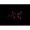 DF4657 staining HepG2 by IF/ICC. The sample were fixed with PFA and permeabilized in 0.1% Triton X-100,then blocked in 10% serum for 45 minutes at 25¡ãC. The primary antibody was diluted at 1/200 and incubated with the sample for 1 hour at 37¡ãC. An  Alexa Fluor 594 conjugated goat anti-rabbit IgG (H+L) Ab, diluted at 1/600, was used as the secondary antibod