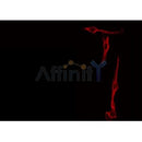 Western blot analysis of extracts from 293 and mouse brain, using SPON2 Antibody.