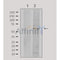 DF4722 staining Hela by IF/ICC. The sample were fixed with PFA and permeabilized in 0.1% Triton X-100,then blocked in 10% serum for 45 minutes at 25¡ãC. The primary antibody was diluted at 1/200 and incubated with the sample for 1 hour at 37¡ãC. An  Alexa Fluor 594 conjugated goat anti-rabbit IgG (H+L) Ab, diluted at 1/600, was used as the secondary antibod