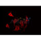 Western blot analysis of extracts from 293, using FZD2 Antibody.