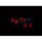 DF4910 at 1/100 staining Human lung tissue by IHC-P. The sample was formaldehyde fixed and a heat mediated antigen retrieval step in citrate buffer was performed. The sample was then blocked and incubated with the antibody for 1.5 hours at 22¡ãC. An HRP conjugated goat anti-rabbit antibody was used as the secondary