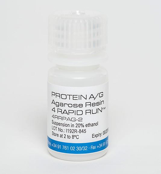 Protein A/G Agarose Resin 4 Rapid Run