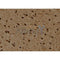 Western blot analysis of extracts from various samples, using PSMD4 Antibody.
 Lane 1: B16F10, treated with blocking peptide;
 Lane 2: B16F10;
 Lane 3: Myeloma cells.

Observed bands:52kDa