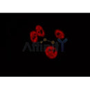 Western blot analysis of extracts from mouse brain, using CDK9 Antibody.