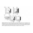 Western blot analysis of extracts from various samples, using CD274 Antibody.
 Lane 1: B16F10 treated with blocking peptide;
 Lane 2: B16F10;
 Lane 3: Rat lung;
 Lane 4: MCF7.