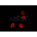 Western blot analysis of extracts from various samples, using AIRE Antibody.  Lane 1: hela treated with blocking peptide;  Lane 2: hela;  Lane 3: B16F10? Lane 4: HepG2? Lane 5: 293.