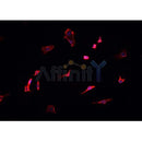 Western blot analysis of extracts from rat haert and rat brain, using DCTN1 Antibody.