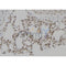 Western blot analysis of extracts from MCF7, using PSMC2 Antibody. The lane on the left was treated with blocking peptide.