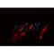 AF0132 staining K562 by IF/ICC. The sample were fixed with PFA and permeabilized in 0.1% Triton X-100,then blocked in 10% serum for 45 minutes at 25¡ãC. The primary antibody was diluted at 1/200 and incubated with the sample for 1 hour at 37¡ãC. An  Alexa Fluor 594 conjugated goat anti-rabbit IgG (H+L) Ab, diluted at 1/600, was used as the secondary antibod