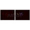 Western blot analysis of extracts from rat heart , using MMP10 Antibody.
