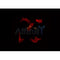 AF0141 staining LOVO by IF/ICC. The sample were fixed with PFA and permeabilized in 0.1% Triton X-100,then blocked in 10% serum for 45 minutes at 25¡ãC. The primary antibody was diluted at 1/200 and incubated with the sample for 1 hour at 37¡ãC. An  Alexa Fluor 594 conjugated goat anti-rabbit IgG (H+L) Ab, diluted at 1/600, was used as the secondary antibod
