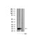 Western blot analysis of extracts of various samples,using Cytochrome c Antibody.
