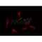 AF0146 staining COS7 by IF/ICC. The sample were fixed with PFA and permeabilized in 0.1% Triton X-100,then blocked in 10% serum for 45 minutes at 25¡ãC. The primary antibody was diluted at 1/200 and incubated with the sample for 1 hour at 37¡ãC. An  Alexa Fluor 594 conjugated goat anti-rabbit IgG (H+L) Ab, diluted at 1/600, was used as the secondary antibod