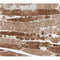 AF0147 at 1/200 staining human skeletal muscle tissue sections by IHC-P. The tissue was formaldehyde fixed and a heat mediated antigen retrieval step in citrate buffer was performed. The tissue was then blocked and incubated with the antibody for 1.5 hours at 22¡ãC. An HRP conjugated goat anti-rabbit antibody was used as the secondary
