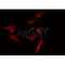 AF0157 staining 293 by IF/ICC. The sample were fixed with PFA and permeabilized in 0.1% Triton X-100,then blocked in 10% serum for 45 minutes at 25¡ãC. The primary antibody was diluted at 1/200 and incubated with the sample for 1 hour at 37¡ãC. An  Alexa Fluor 594 conjugated goat anti-rabbit IgG (H+L) Ab, diluted at 1/600, was used as the secondary antibod