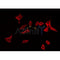AF0217 staining 293 by IF/ICC. The sample were fixed with PFA and permeabilized in 0.1% Triton X-100,then blocked in 10% serum for 45 minutes at 25¡ãC. The primary antibody was diluted at 1/200 and incubated with the sample for 1 hour at 37¡ãC. An  Alexa Fluor 594 conjugated goat anti-rabbit IgG (H+L) Ab, diluted at 1/600, was used as the secondary antibod