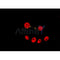 AF0505 staining Hela by IF/ICC. The sample were fixed with PFA and permeabilized in 0.1% Triton X-100,then blocked in 10% serum for 45 minutes at 25¡ãC. The primary antibody was diluted at 1/200 and incubated with the sample for 1 hour at 37¡ãC. An  Alexa Fluor 594 conjugated goat anti-rabbit IgG (H+L) Ab, diluted at 1/600, was used as the secondary antibod