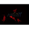 AF0220 staining HepG2 by IF/ICC. The sample were fixed with PFA and permeabilized in 0.1% Triton X-100,then blocked in 10% serum for 45 minutes at 25¡ãC. The primary antibody was diluted at 1/200 and incubated with the sample for 1 hour at 37¡ãC. An  Alexa Fluor 594 conjugated goat anti-rabbit IgG (H+L) Ab, diluted at 1/600, was used as the secondary antibod