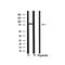 Western blot analysis of extracts from 293, using NEDD8 Antibody.