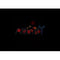 AF0443 staining HepG2 by IF/ICC. The sample were fixed with PFA and permeabilized in 0.1% Triton X-100,then blocked in 10% serum for 45 minutes at 25¡ãC. The primary antibody was diluted at 1/200 and incubated with the sample for 1 hour at 37¡ãC. An  Alexa Fluor 594 conjugated goat anti-rabbit IgG (H+L) Ab, diluted at 1/600, was used as the secondary antibod