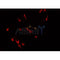 AF0483 staining CACO-2 cells by IF/ICC. The sample were fixed with PFA and permeabilized in 0.1% Triton X-100,then blocked in 10% serum for 45 minutes at 25¡ãC. The primary antibody was diluted at 1/200 and incubated with the sample for 1 hour at 37¡ãC. An  Alexa Fluor 594 conjugated goat anti-rabbit IgG (H+L) antibody(Cat.