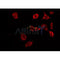 AF0428 staining HuvEc by IF/ICC. The sample were fixed with PFA and permeabilized in 0.1% Triton X-100,then blocked in 10% serum for 45 minutes at 25¡ãC. The primary antibody was diluted at 1/200 and incubated with the sample for 1 hour at 37¡ãC. An  Alexa Fluor 594 conjugated goat anti-rabbit IgG (H+L) Ab, diluted at 1/600, was used as the secondary antibod