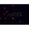 AF0410 staining CACO-2 cells by IF/ICC. The sample were fixed with PFA and permeabilized in 0.1% Triton X-100,then blocked in 10% serum for 45 minutes at 25¡ãC. The primary antibody was diluted at 1/200 and incubated with the sample for 1 hour at 37¡ãC. An  Alexa Fluor 594 conjugated goat anti-rabbit IgG (H+L) antibody(Cat.