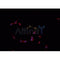 AF0164 staining A-431 cells by IF/ICC. The sample were fixed with PFA and permeabilized in 0.1% Triton X-100,then blocked in 10% serum for 45 minutes at 25¡ãC. The primary antibody was diluted at 1/200 and incubated with the sample for 1 hour at 37¡ãC. An  Alexa Fluor 594 conjugated goat anti-rabbit IgG (H+L) antibody(Cat.