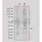 Western blot analysis of extracts from Hela, using Galectin 3 Antibody. Lane 1 was treated with the antigen-specific peptide.