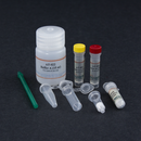 MinuteTM Total Protein Extraction Kit for Adipose Tissues/Cultured Adipocytes AT-022