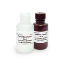 UltraScence Femto Western ECL Substrate - 100ml and 600ml (CCH375-B100ml)