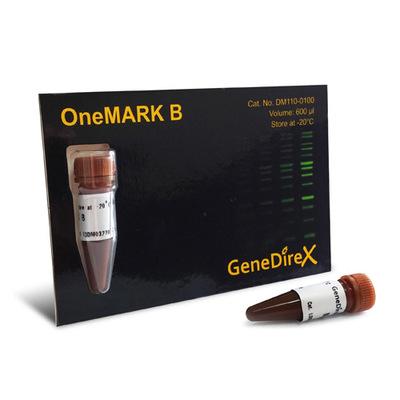 Bio-Helix OmniMark 1K (BH OneMARK B Plus) DNA Ladder RTU（100-10,000 bps) DMF13-0100 / DM115-0100