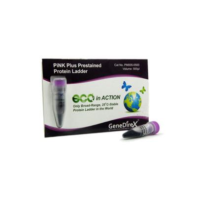 PiNK Plus Prestained Protein Ladder 500ul