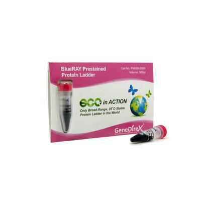BlueRAY Prestained Protein Ladder - 500ul PM006-0500