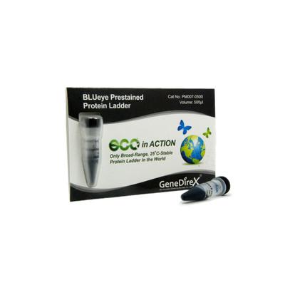 BLUeye Prestained Protein Ladder - 500ul PM007-0500