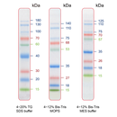 IRIS9 Prestained Protein Ladder (15-170 kDa) PMI09-0500
