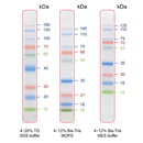 IRIS9 Prestained Protein Ladder  PM009-0500