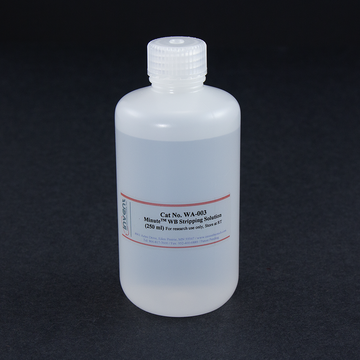 Minute™ WB Stripping Solution WA-003