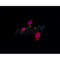 AF0361 staining Hela by IF/ICC. The sample were fixed with PFA and permeabilized in 0.1% Triton X-100,then blocked in 10% serum for 45 minutes at 25¡ãC. The primary antibody was diluted at 1/200 and incubated with the sample for 1 hour at 37¡ãC. An  Alexa Fluor 594 conjugated goat anti-rabbit IgG (H+L) Ab, diluted at 1/600, was used as the secondary antibod