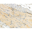 Phospho-PKC theta (Ser695) Antibody -AF3621