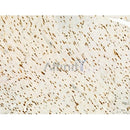 Phospho-YAP (Ser941) Antibody -AF3663