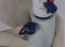 Accumax bottle top dispenser